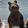 Travelling Quokka