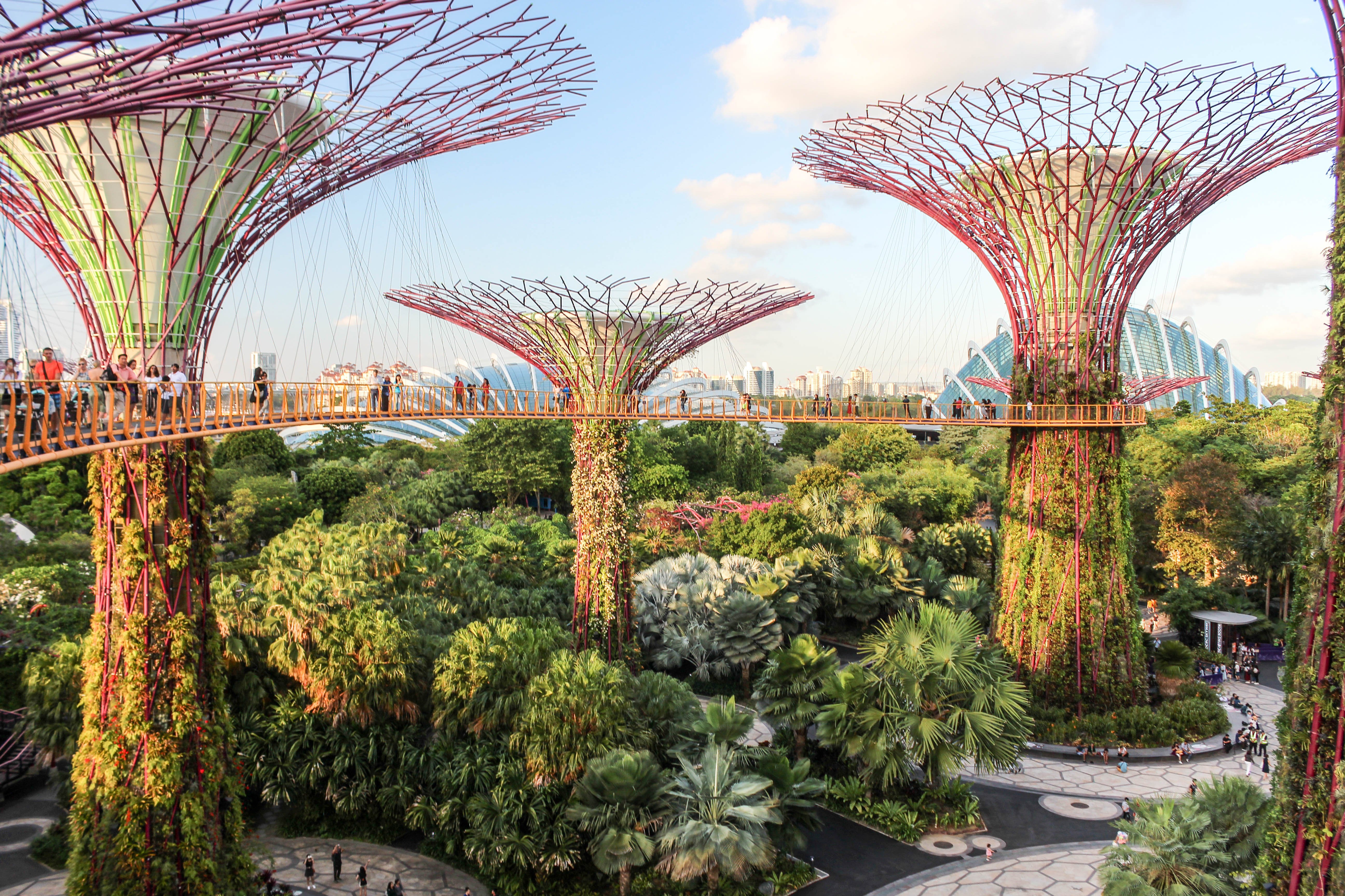 THE 10 BEST Singapore Scenic Walking Areas (Updated 2024)