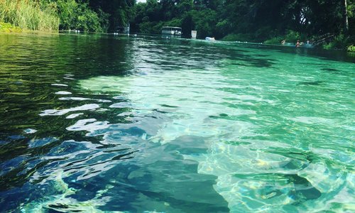 Weeki Wachee, FL 2023: Best Places to Visit - Tripadvisor