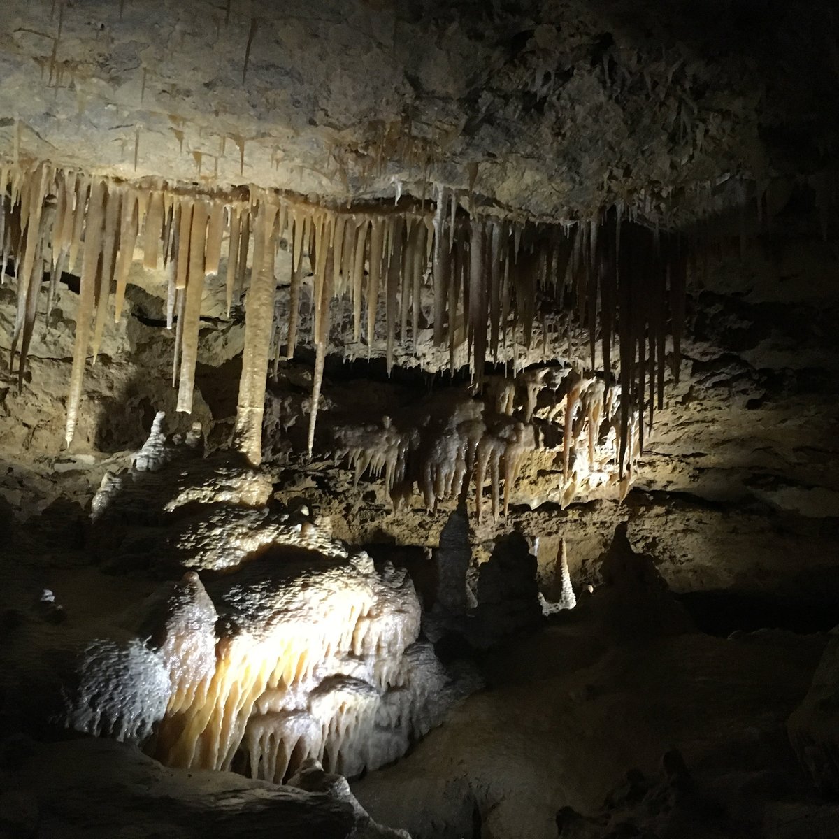 Victoria Fossil Cave (Naracoorte) - 2022 Alles wat u moet weten VOORDAT ...