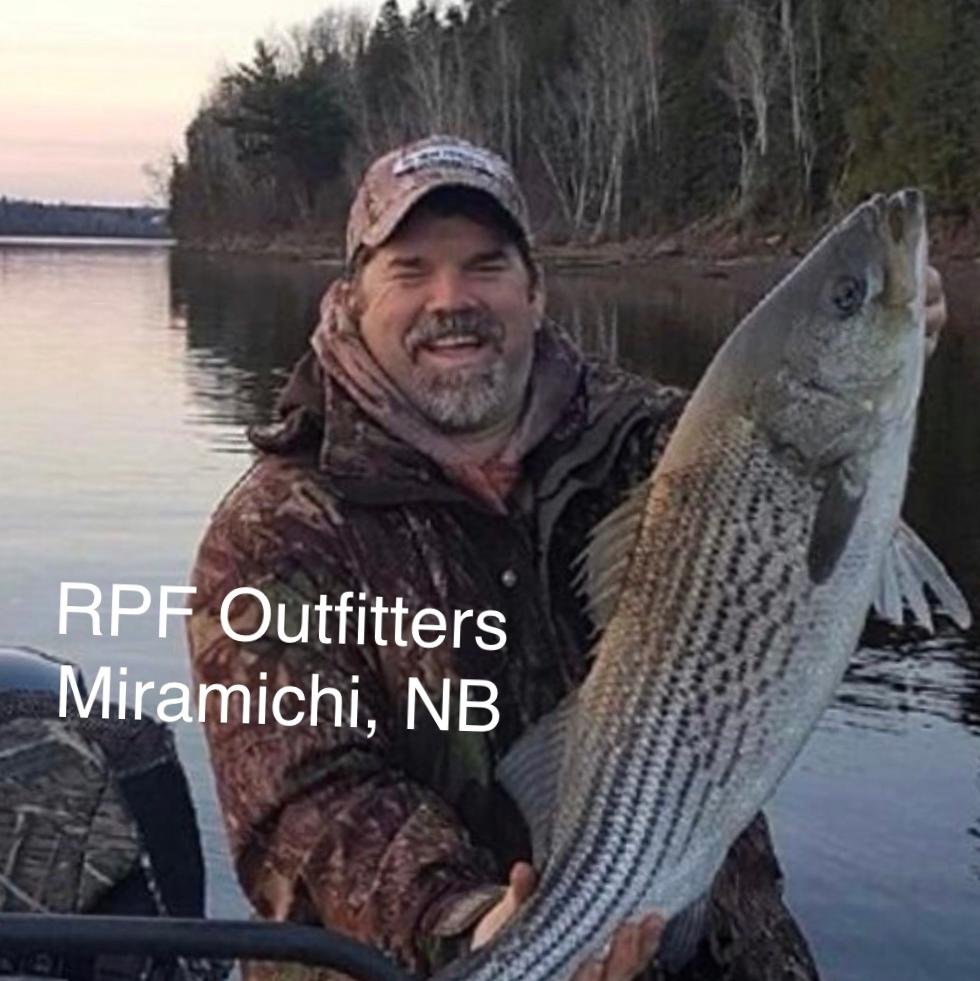 THE 5 BEST New Brunswick Fishing Charters & Tours (with Prices)