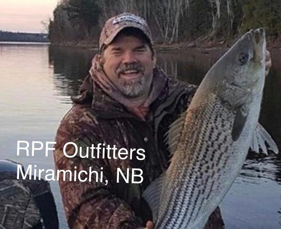 THE BEST New Brunswick Fishing Charters & Tours (Updated 2024)