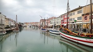 Area Camper Cesenatico - 🐾 Vacanza a quattro zampe? Assolutamente sì! 🐶  Lascia che i tuoi cuccioli ti accompagnino in un'avventura indimenticabile  presso la nostra Area Camper di Cesenatico 🚐 ❤️ L'accoglienza