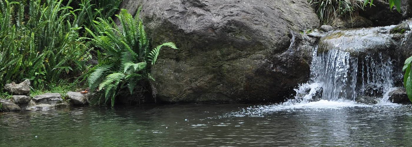 El parque del Salao es un lugar que crea un ambiente íntimo armonizado por el sonido del agua y de las aves, un lugar para disfrutar de la tranquilidad y la naturaleza que nos ofrece además un sitio lleno de actividades turísticas y culturales para nuestros visitantes, como el Festival de Flamenco en julio o el Festival de rock a finales de agosto. 👉👉👉 www.lanjaronrural.com