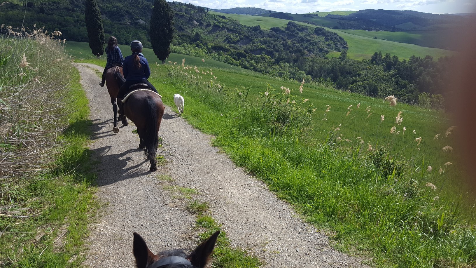 イタリアの乗馬ツアー: イタリアの 10 件の乗馬ツアーをチェックする