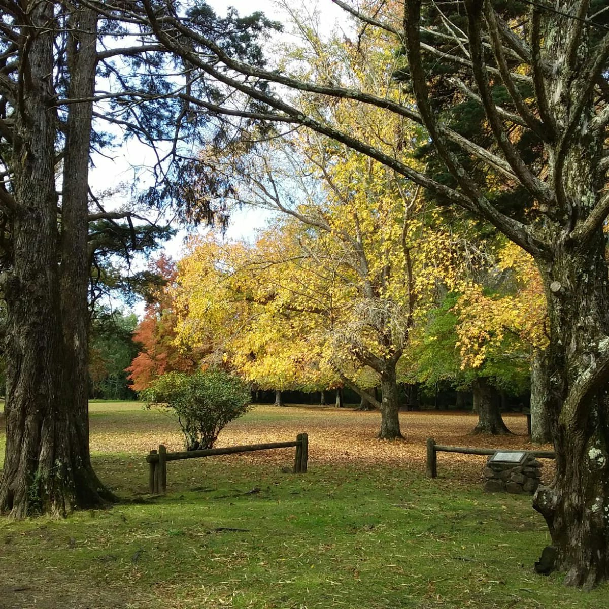 PARQUE ZORRILLA DURAZNO QUARTIERE URUGUAY