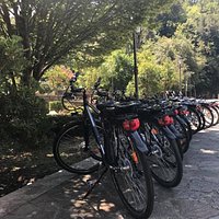Noleggio E-Bike