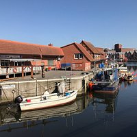Alter Hafen und Fischdieb