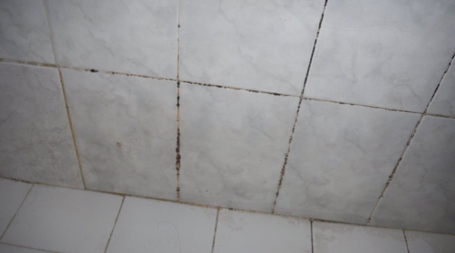 Dirty tiles and fungi