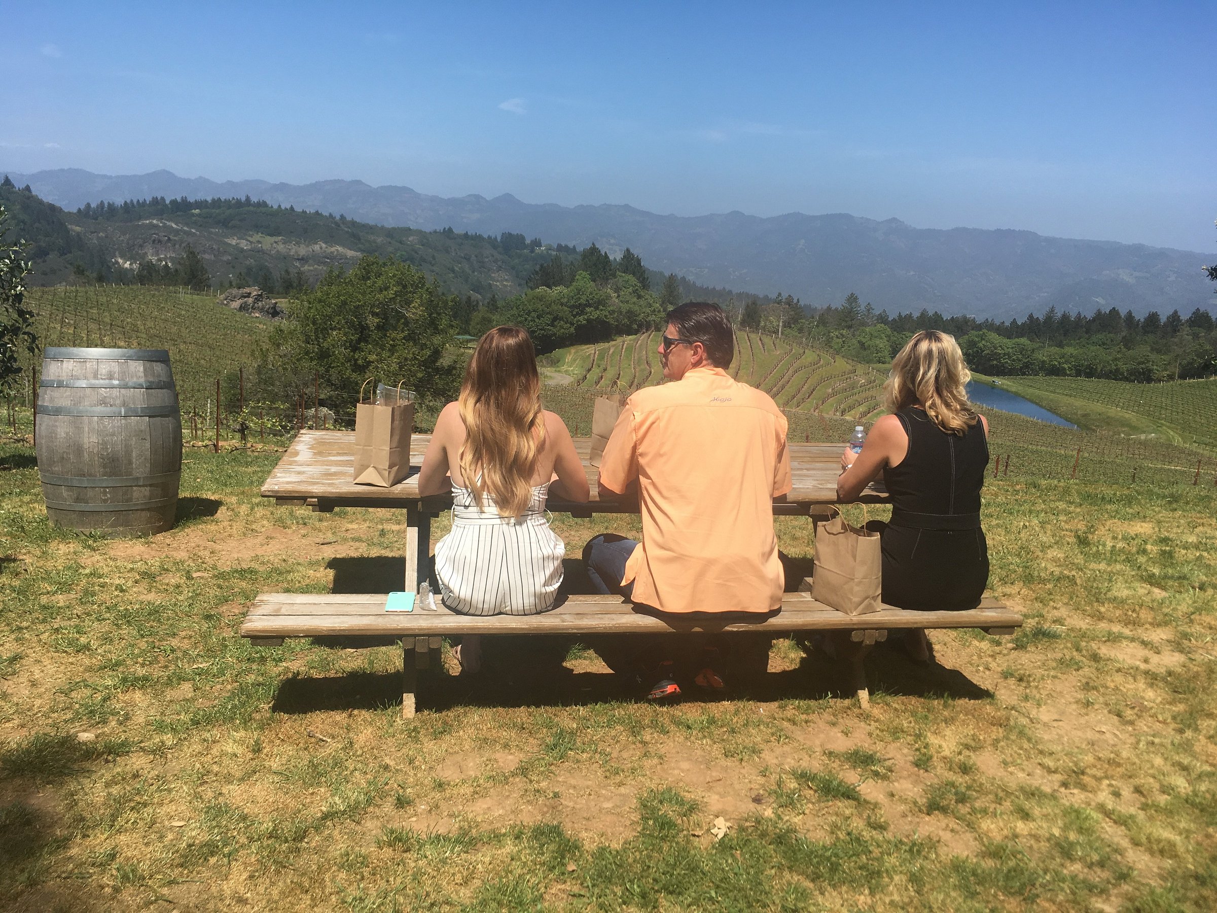 savor napa valley wine tours reviews