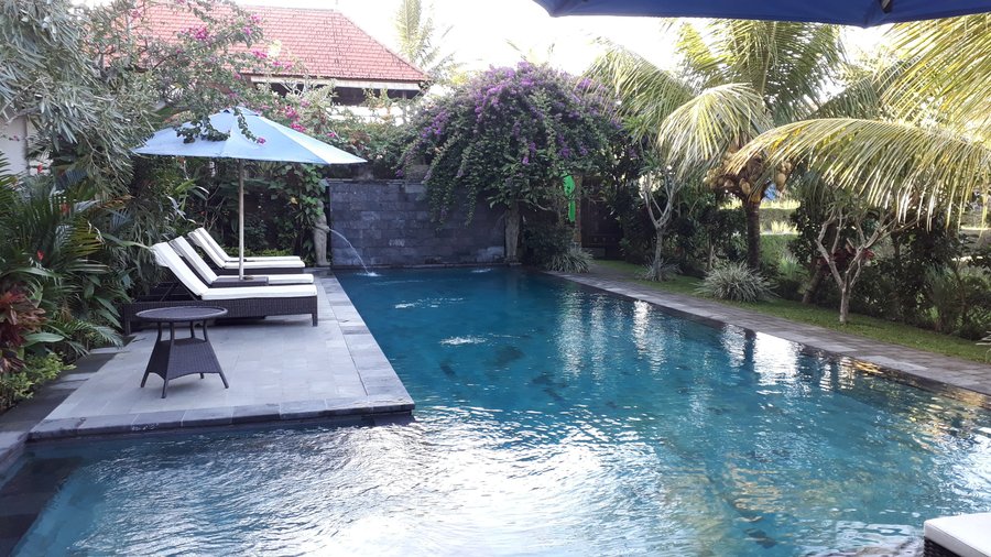 Piscine de l'hôtel