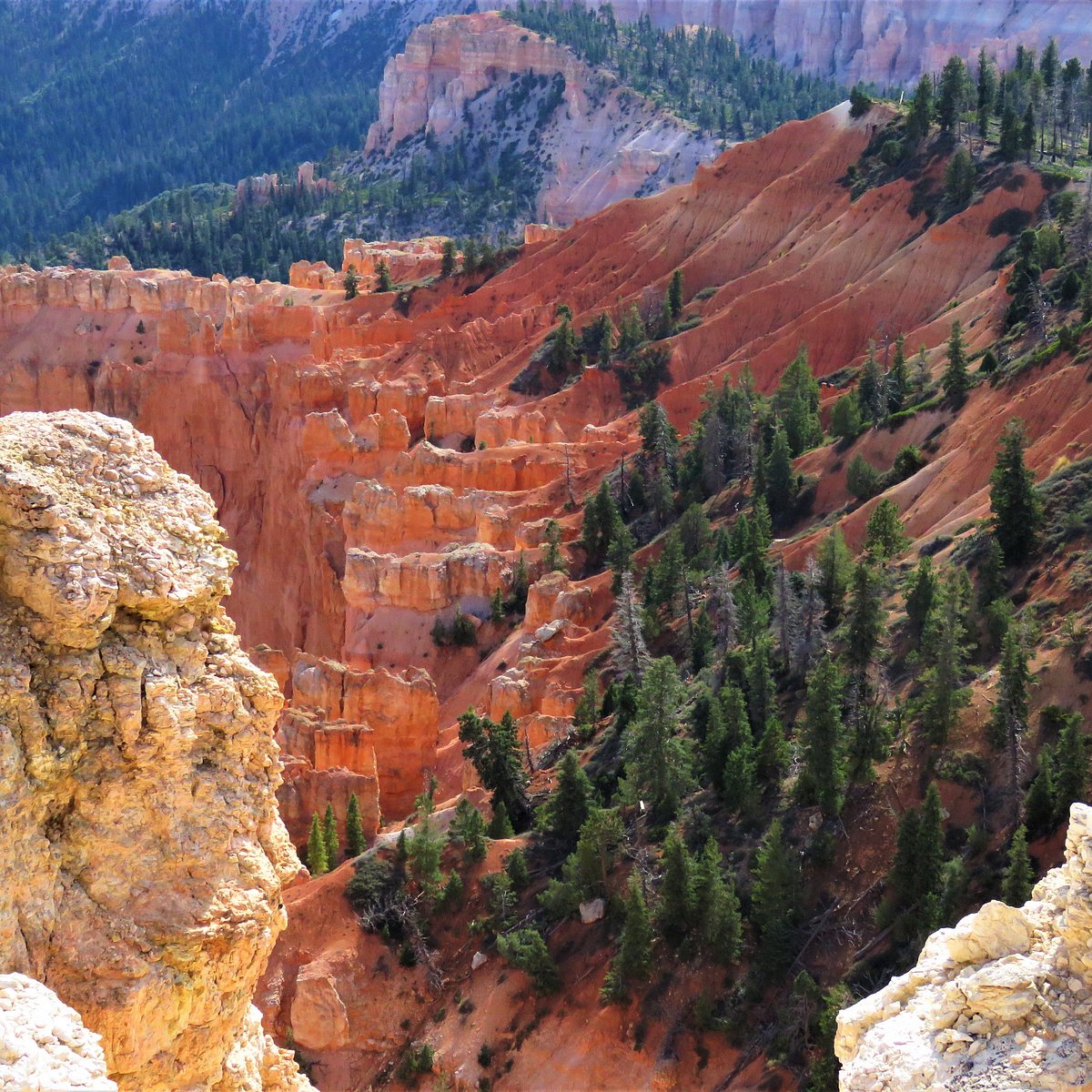 Bryce Canyon Scenic Drive 브라이스 캐년 Bryce Canyon Scenic Drive의 리뷰 트립어드바이저 6158