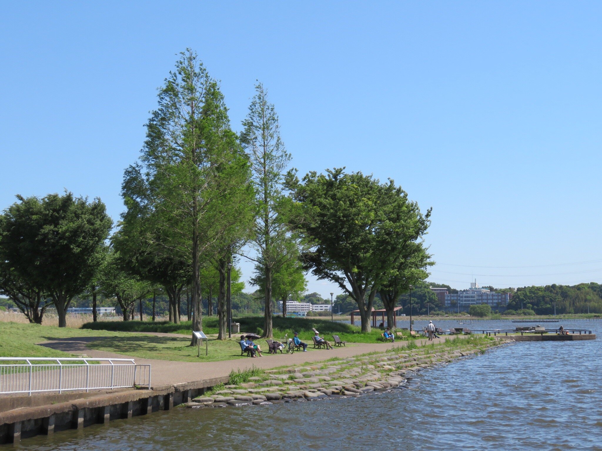 2024年 手賀沼公園 - 出発前に知っておくべきことすべて - トリップアドバイザー