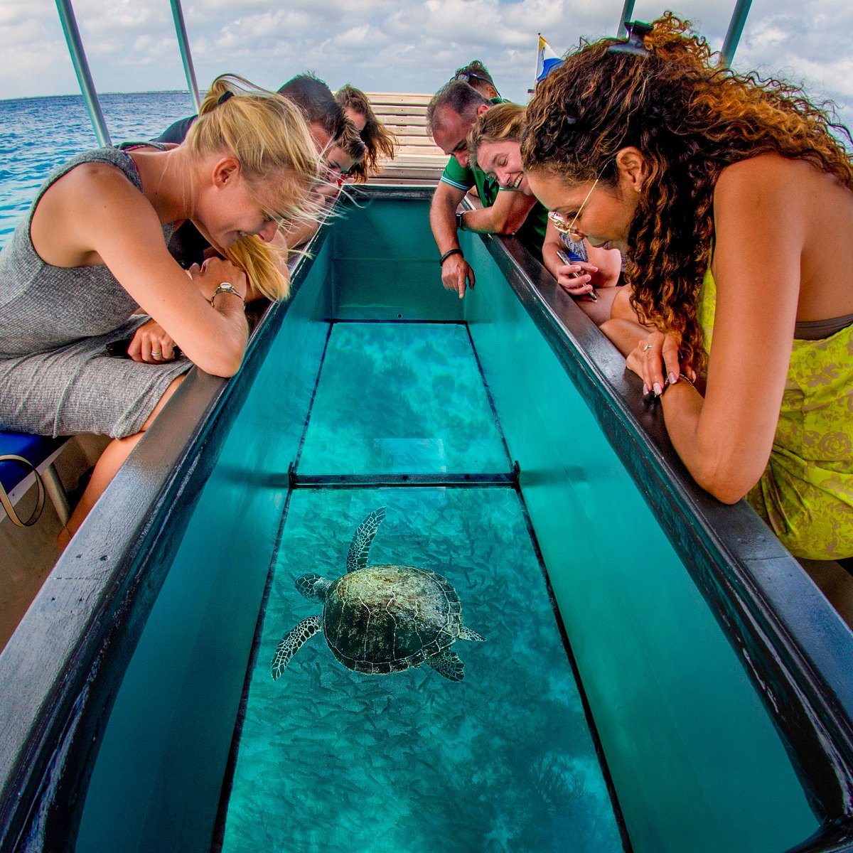 Glass bottom boat. Лодка с прозрачным дном. Лодка со стеклянным дном. Катер с прозрачным дном. Яхта с прозрачным дном.