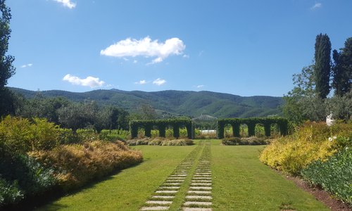 So pretty! Their wedding ceremony site. 
