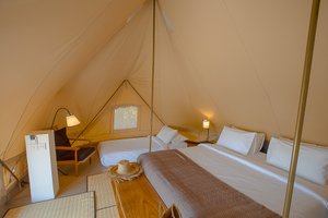Phòng & Phòng Suite