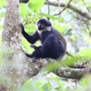 NATURE AND WILD LIFE TOURS CO LTD
