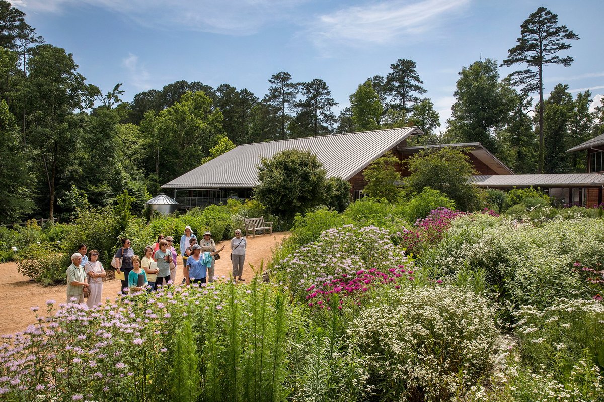 are dogs allowed at the north carolina arboretum