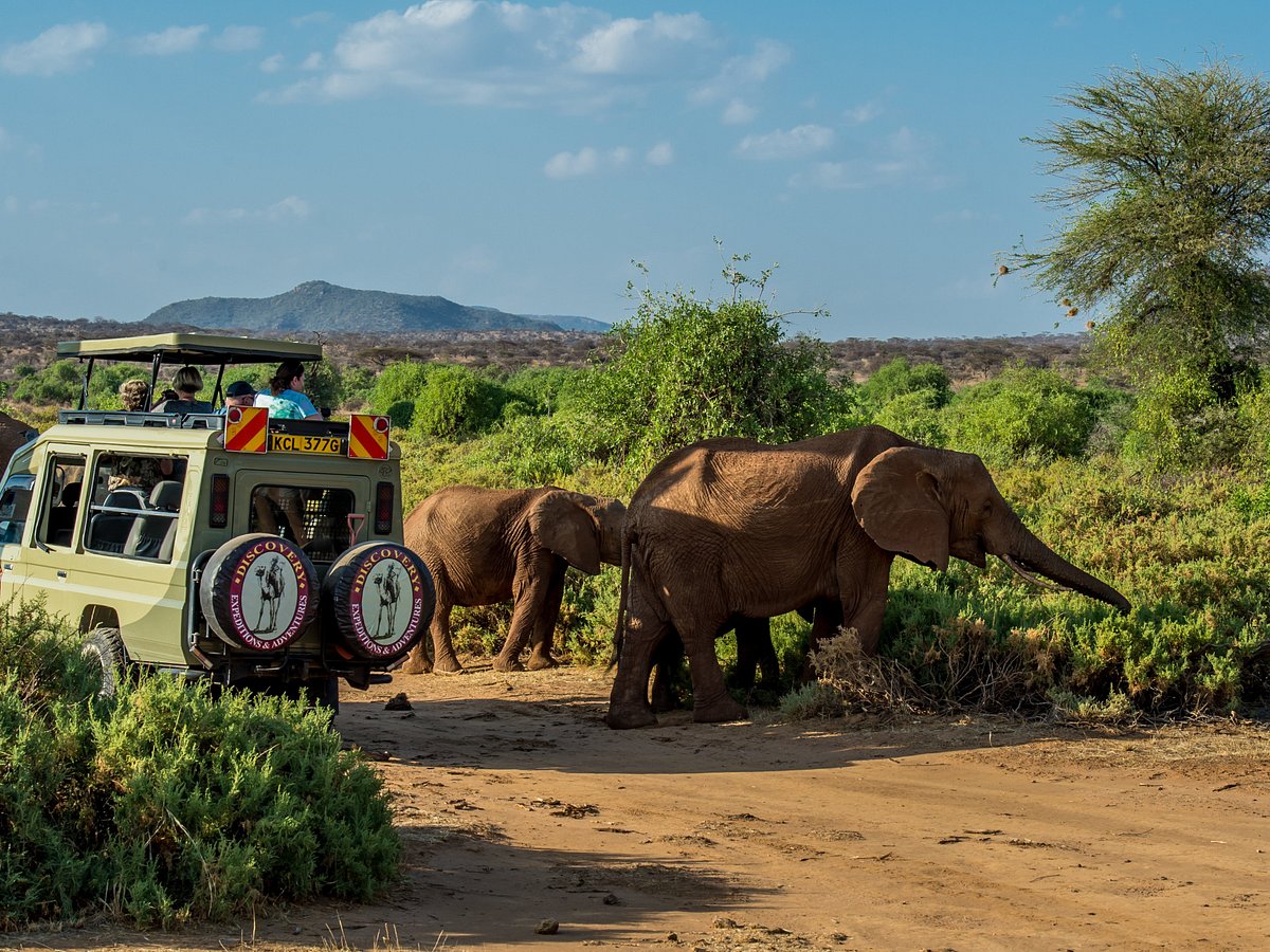 Discovery Expeditions & Adventures (Nairobi) - All You Need to Know ...