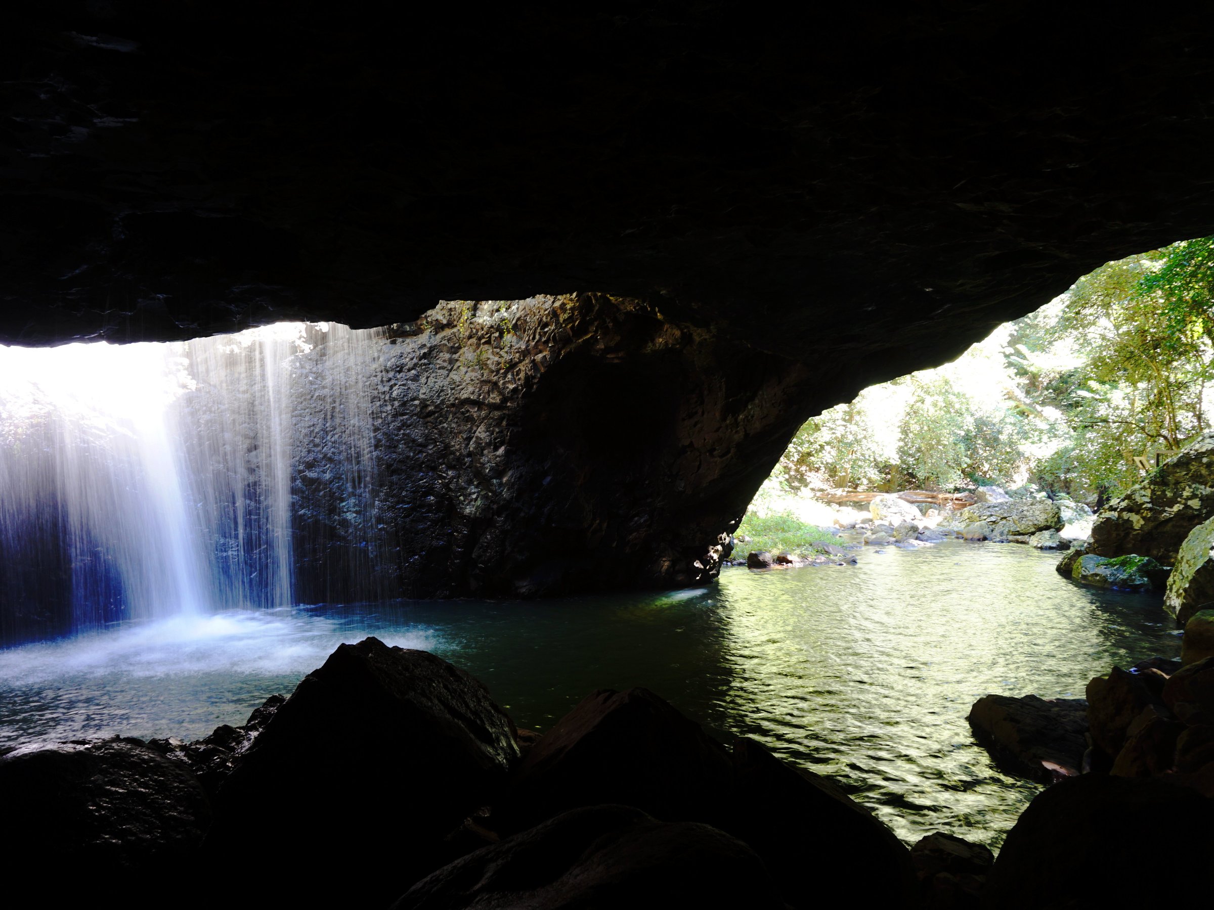 Gold Coast Rainforest Tours & Hikes (Surfers Paradise): All You Need to ...