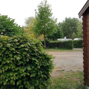 Fotos sagen mehr als Texte, toller Platz in der Nähe der Innenstadt. Gerne wieder.