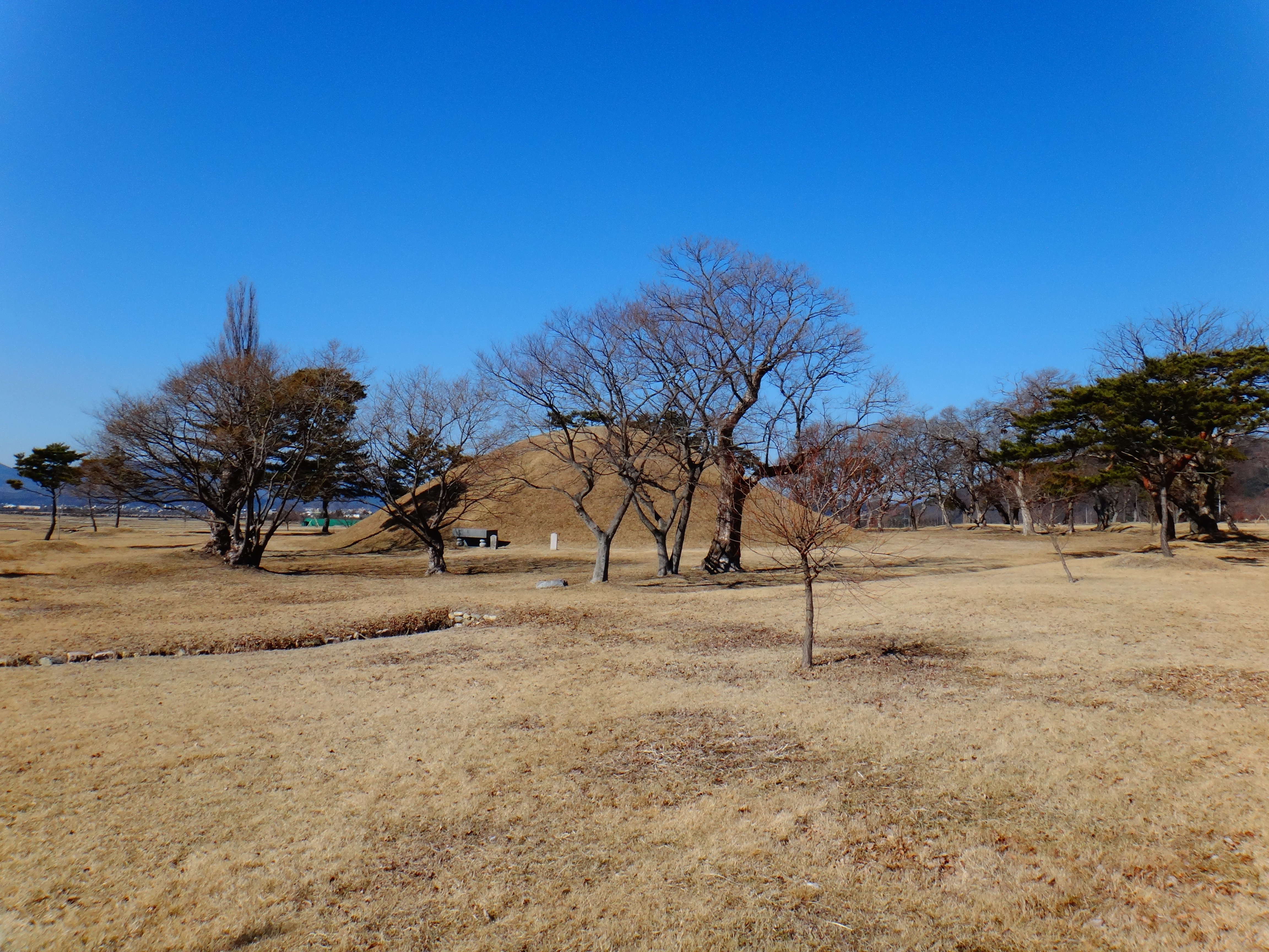 THE 15 BEST Things To Do In South Korea 2024 With Photos Tripadvisor   20130126 Photo 