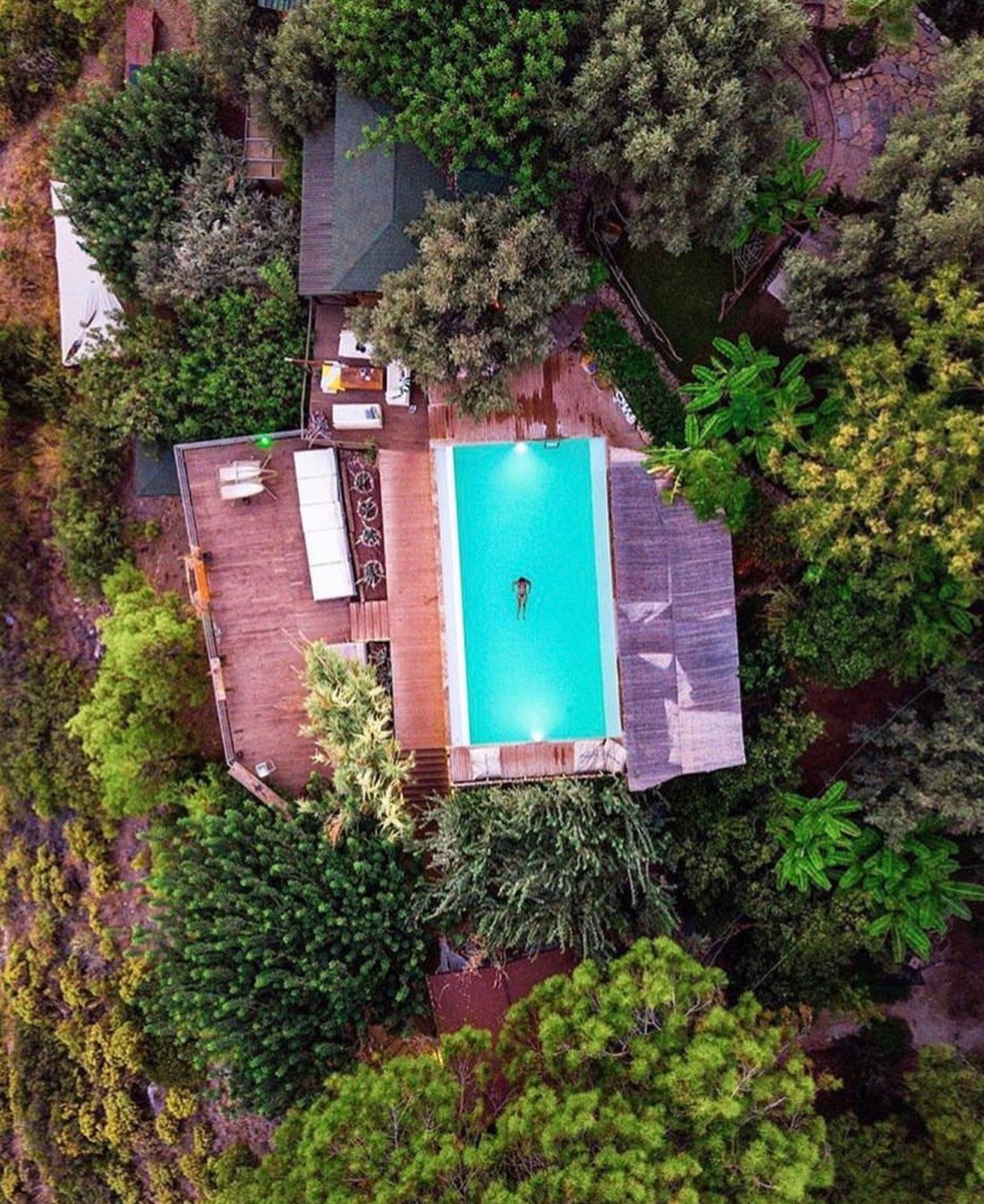 Shambala Pool Pictures & Reviews Tripadvisor