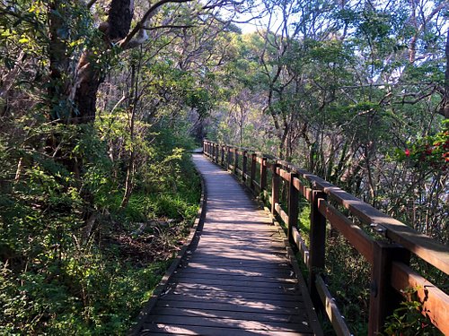 THE 10 BEST Parks & Nature Attractions in Sydney (Updated 2023)