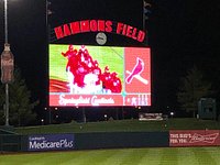 From the Red Bird Roost - Picture of Springfield Cardinals - Tripadvisor