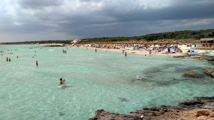 Imagen 2 de Playa de Sa Rapita