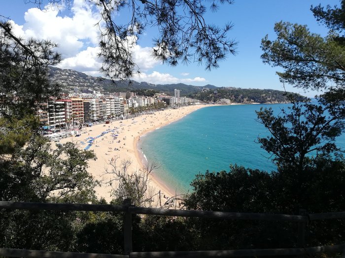 Imagen 8 de Playa de Lloret