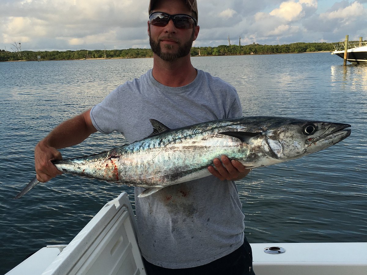 King and a Parrot - Kingfish Charters - Palm Beach Fishing Charters