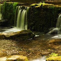 Weir at Cotehele Mill