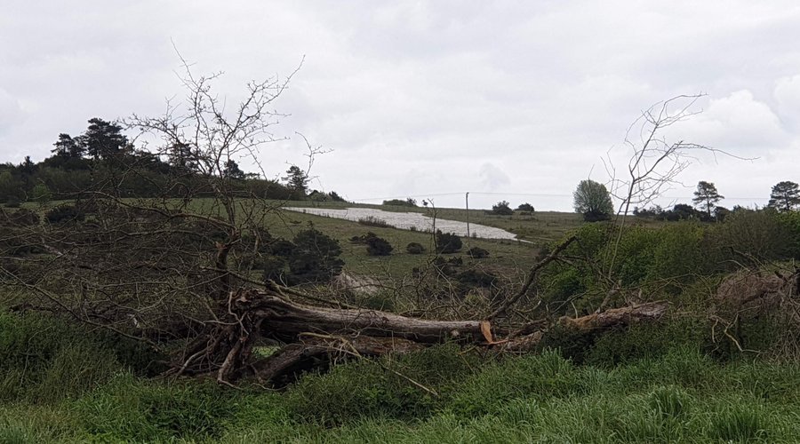Bulford Kiwi - View from the road