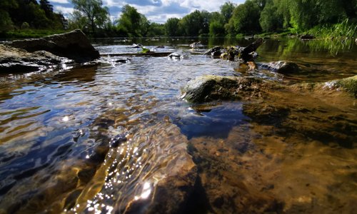 Puszczykowo