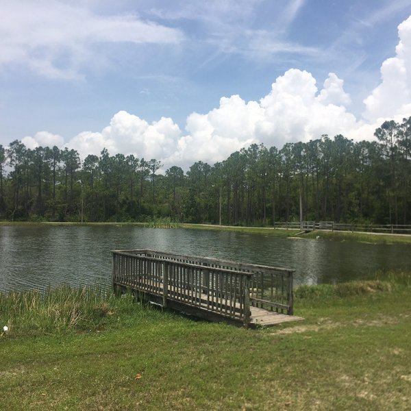 Gator Country Alligator Park (Panama City Beach) - All You Need to Know ...