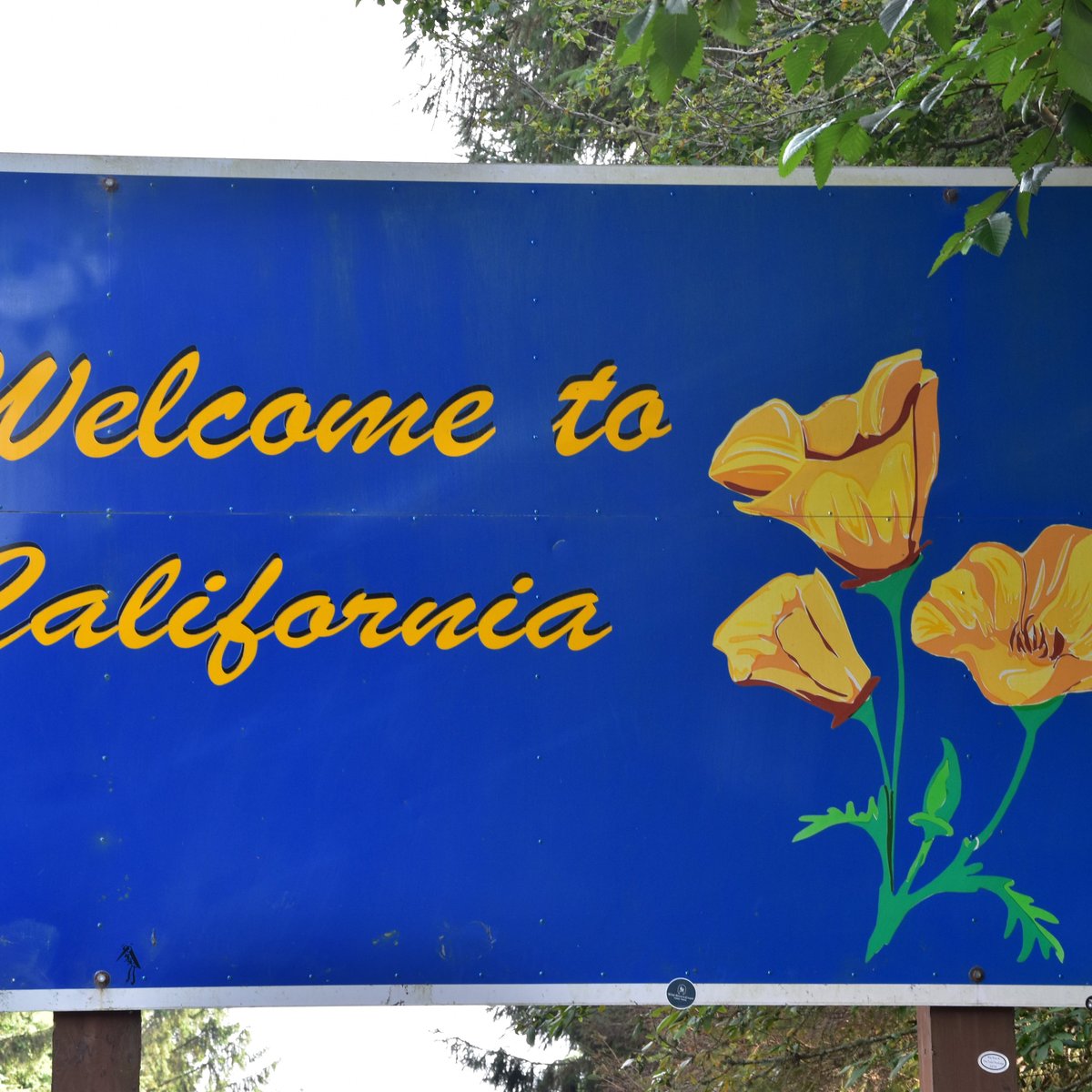 TO CALIFORNIA (2025) All You Need to Know BEFORE You Go (with