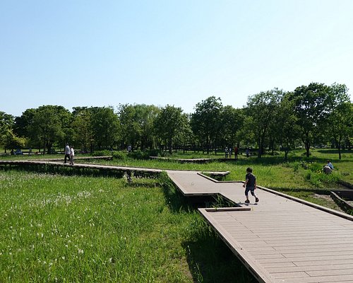 足立区の公園 自然 ベスト10 トリップアドバイザー