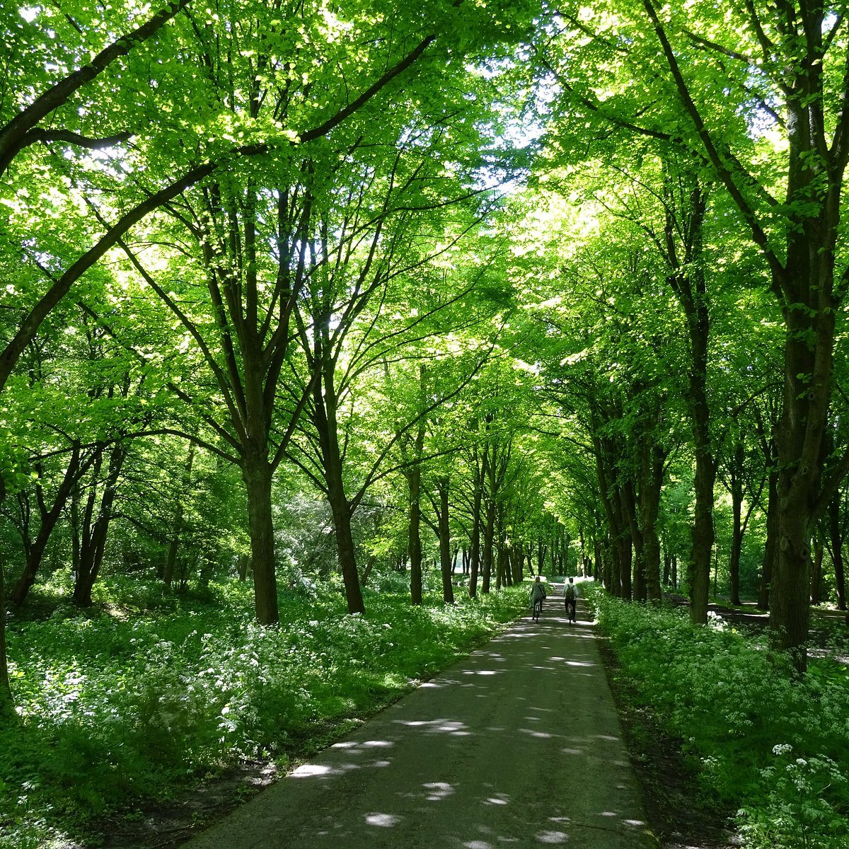 Natur engagement Genbruge Amsterdamse Bos (Amsterdam) - All You Need to Know BEFORE You Go
