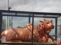 Savanne District navina review images