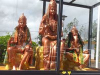 Savanne District navina review images