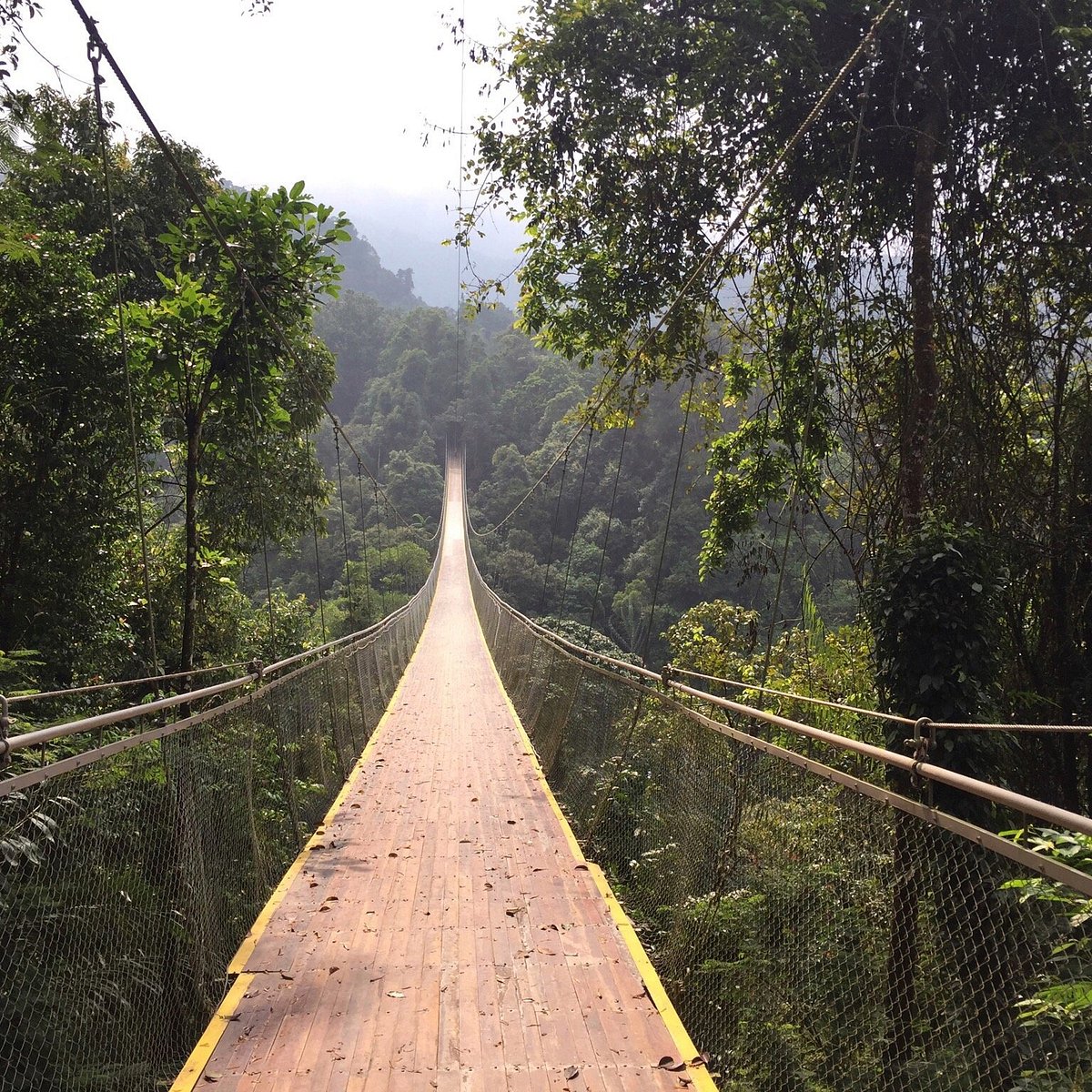 Java bridge. Situ Gunung Waterfall & Suspension Bridge Sukabumi, Indonesia ❤️.