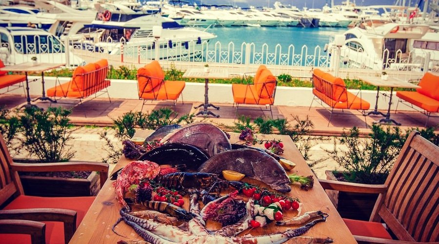 Qualista Restaurant Marina 