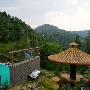 Well arranged pool and lawn area. 