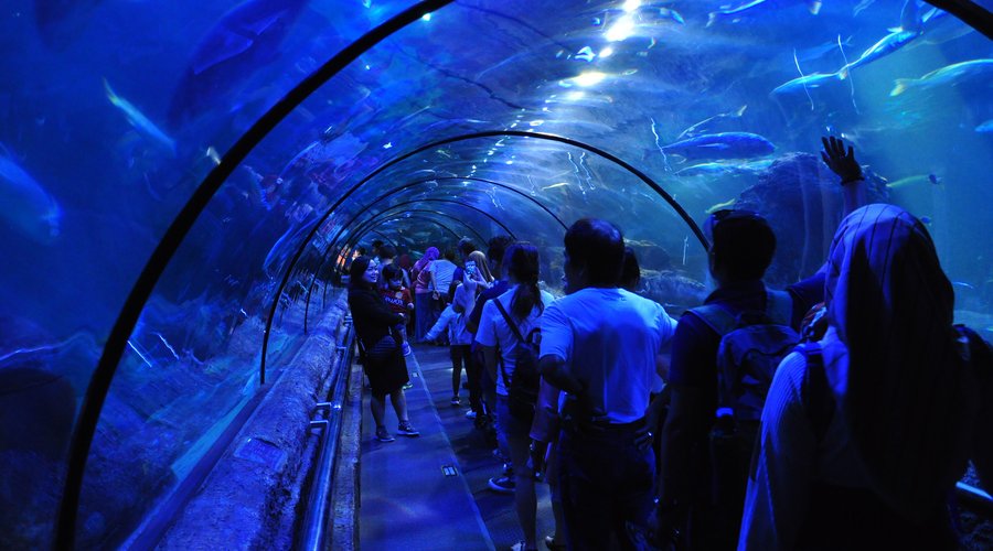 lorong bawah laut
