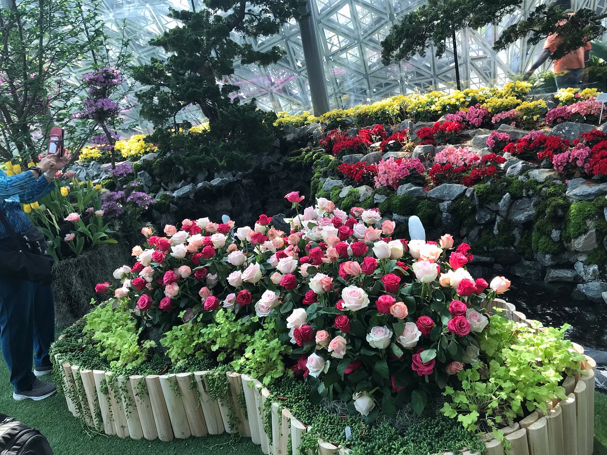 Floral Fantasy at Gardens by the Bay
