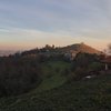 Crinati