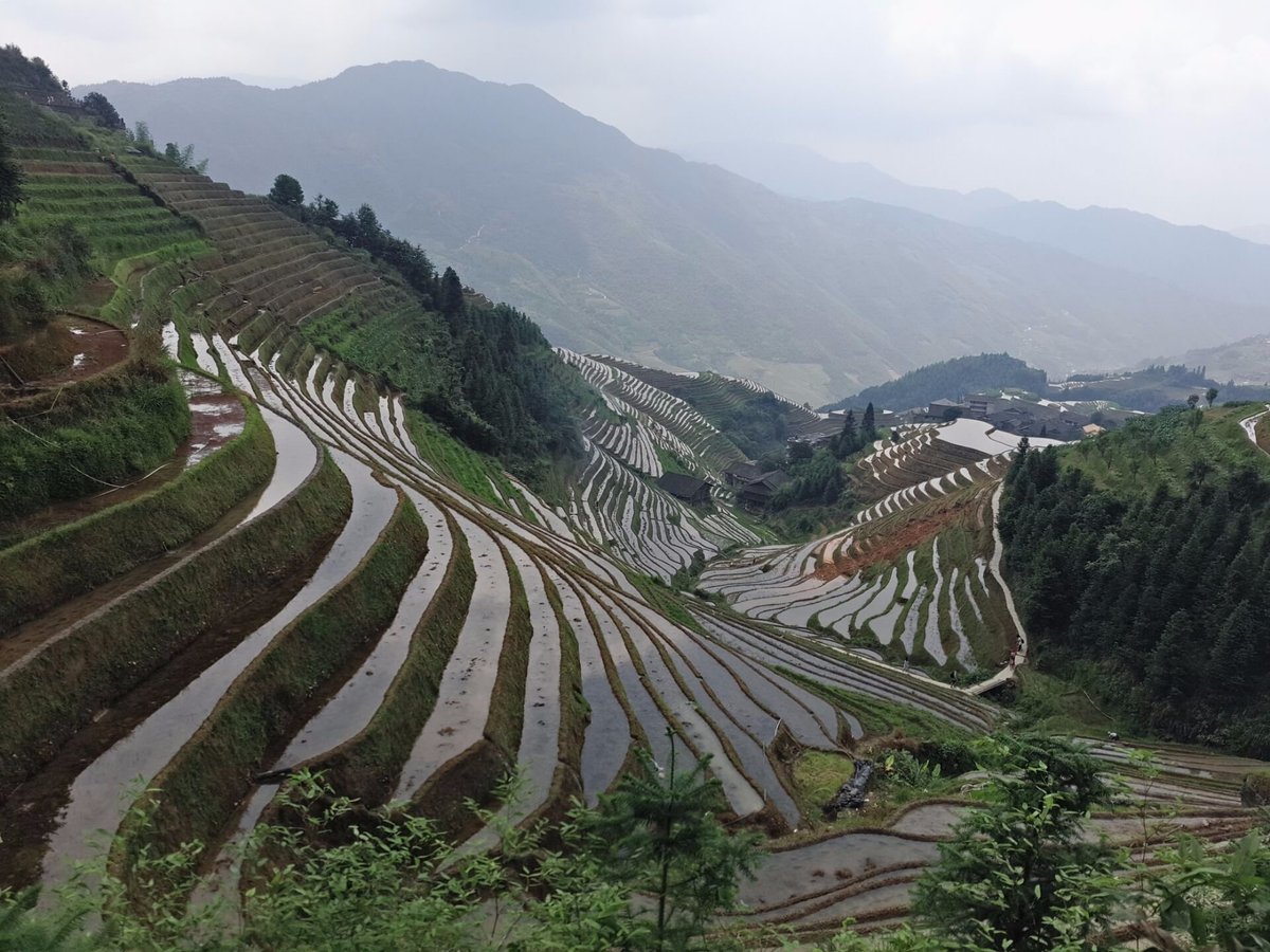 Longji One Day Tours (Longsheng County) - All You Need to Know BEFORE ...