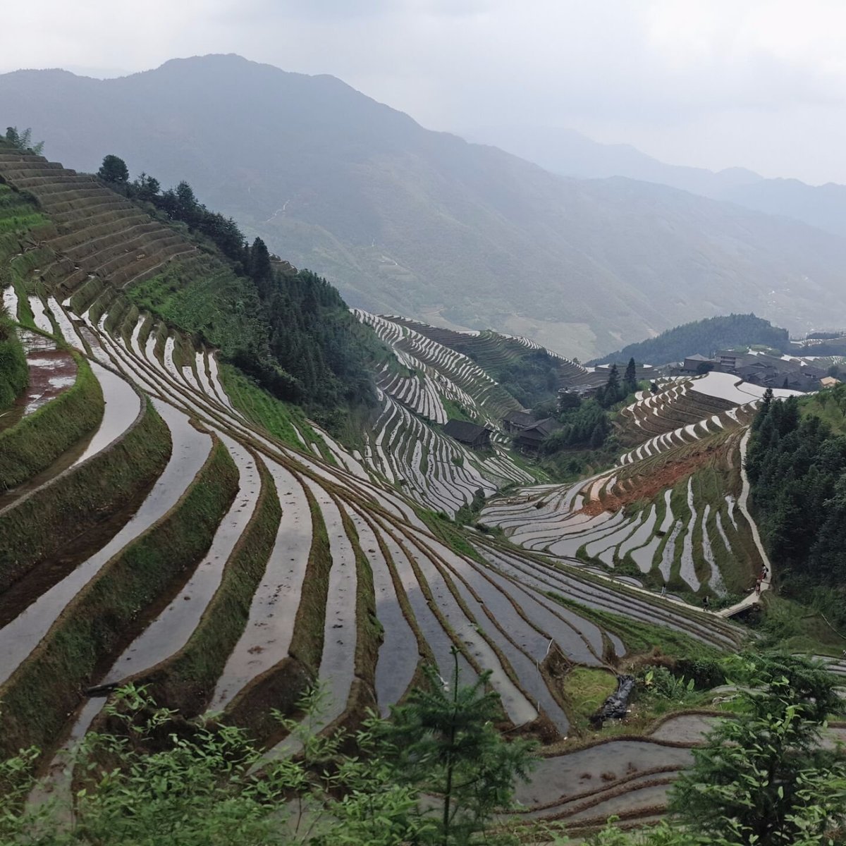 Longji One Day Tours (Longsheng County) - All You Need to Know BEFORE ...