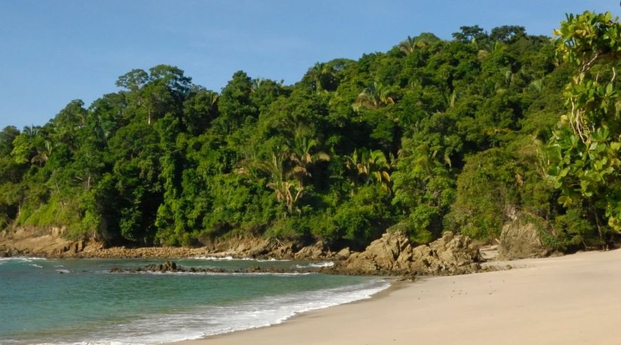 Few feet's away from the natural green Forest